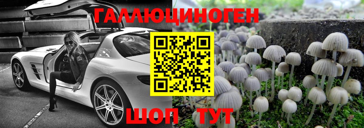 Псилоцибиновые грибы мухоморы Домодедово